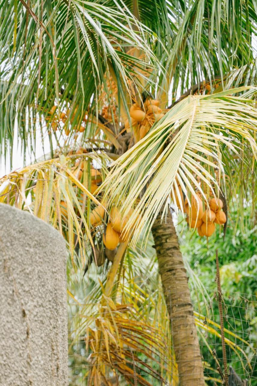 Saipan Emerald Villa Eksteriør billede